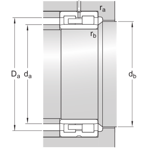 Cylindrical roller bearings, double row 314987 B-www.chaco.company
